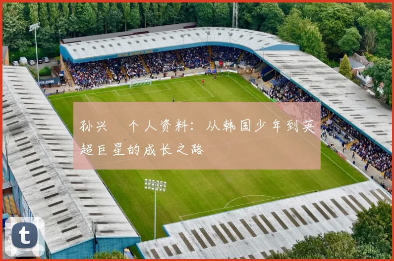 孙兴慜个人资料：从韩国少年到英超巨星的成长之路